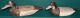 small/6_1.JPG